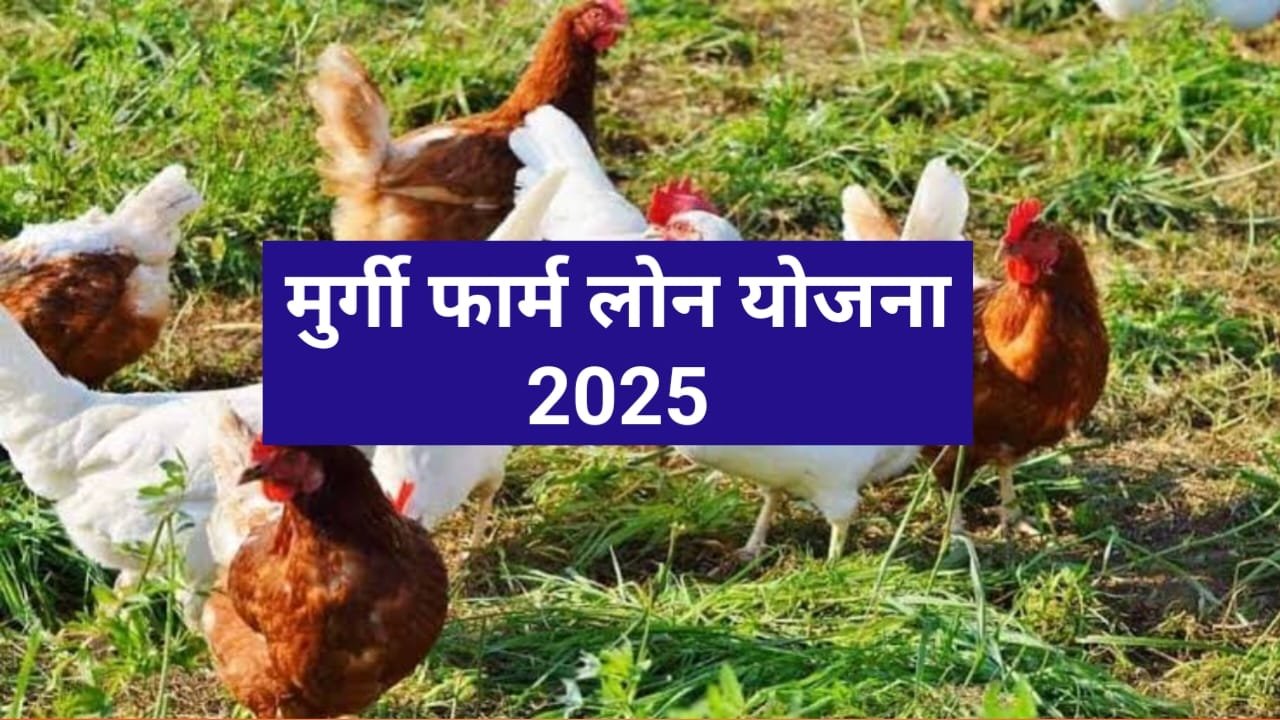 polotry farm loan yojana